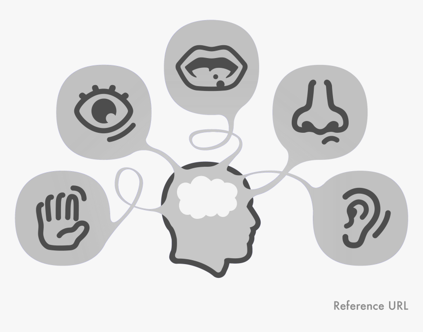 Sight, Hearing, Taste, Smell,, HD Png Download