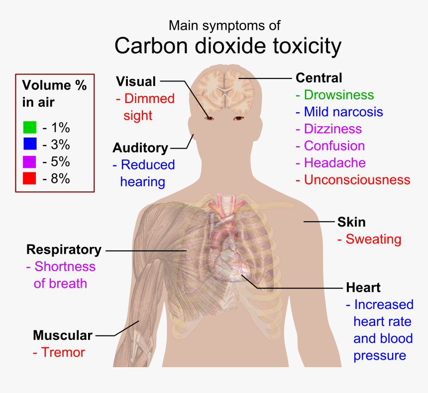 Carbon Dioxide Png, Transparent Png