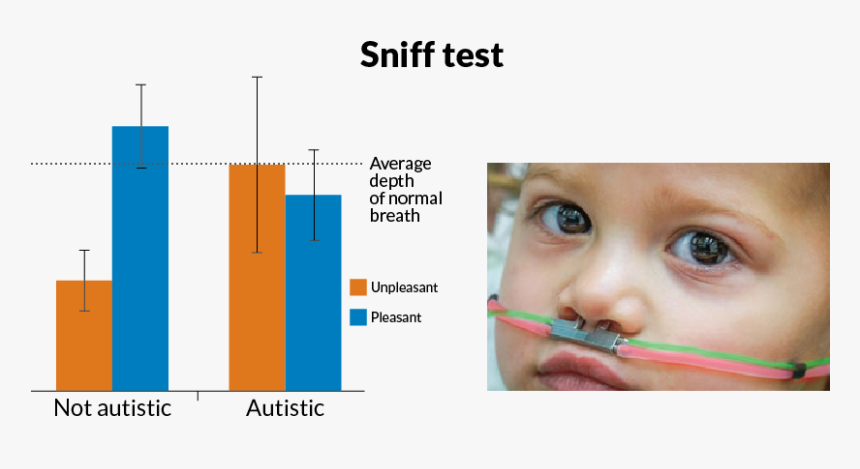 Sniff Test, HD Png Download