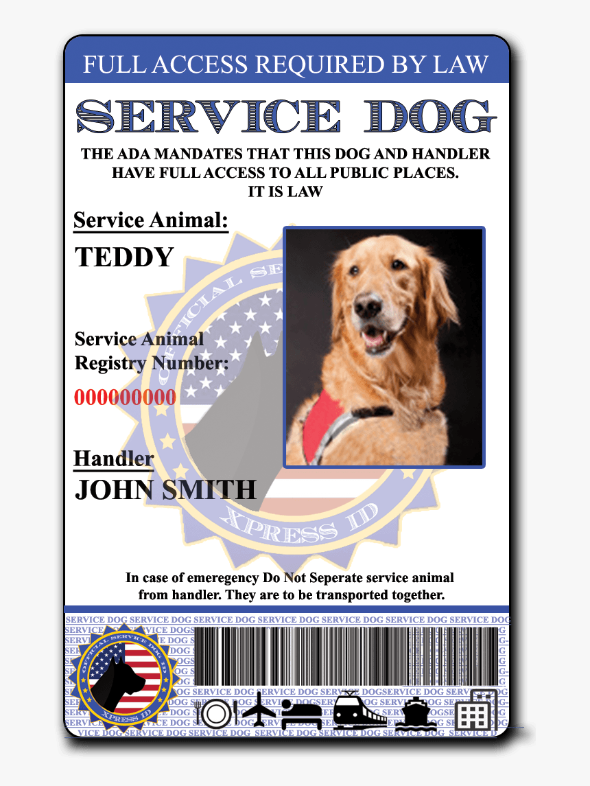 Service Dog Png, Transparent Png