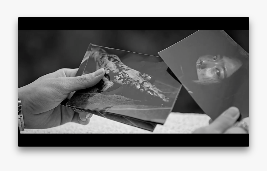 Bap Skydive Mv, HD Png Download