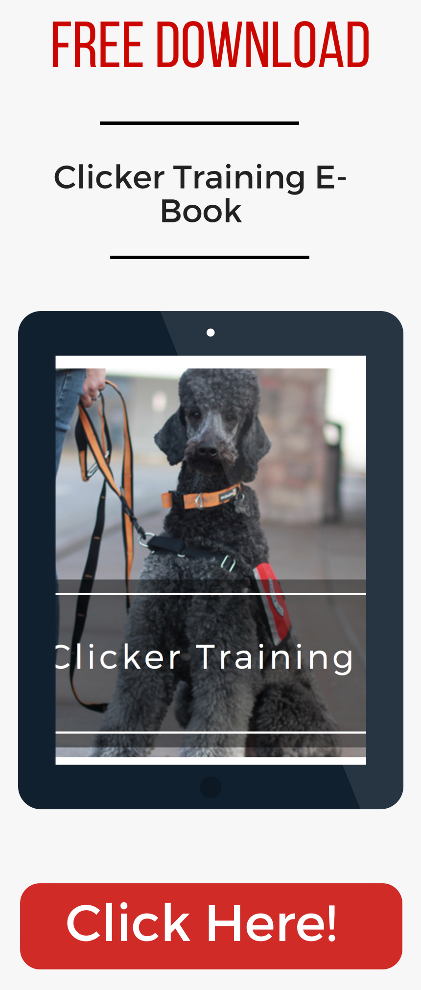 Service Dog Png, Transparent Png