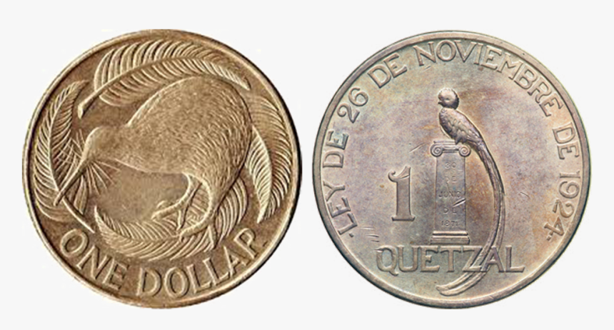 A Kiwi And A Quetzal, HD Png Download