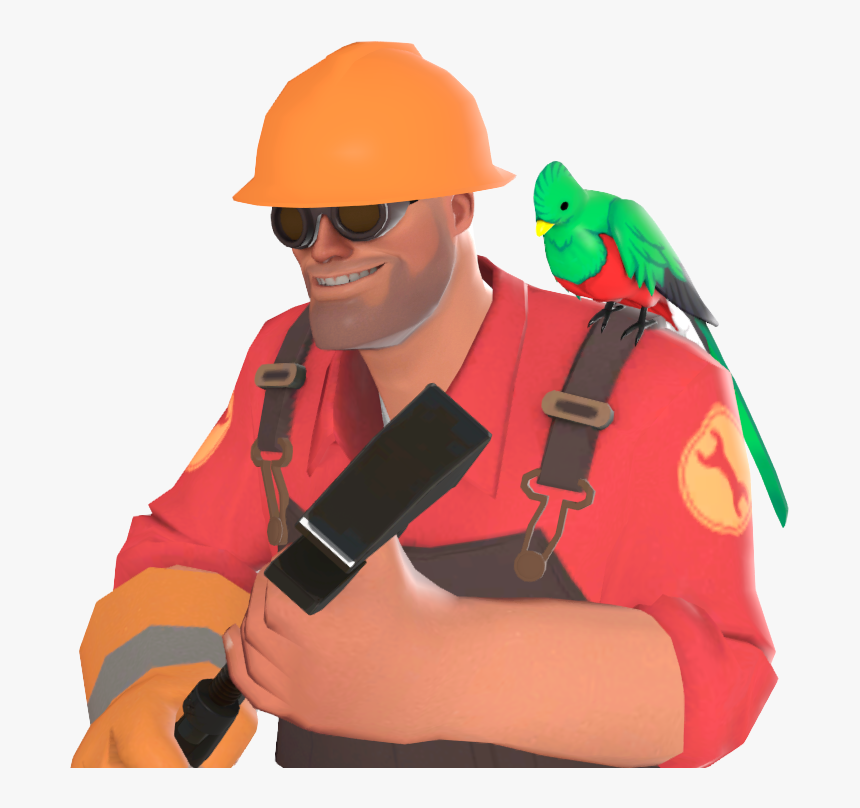 Engineer Quizzical Quetzal, HD Png Download