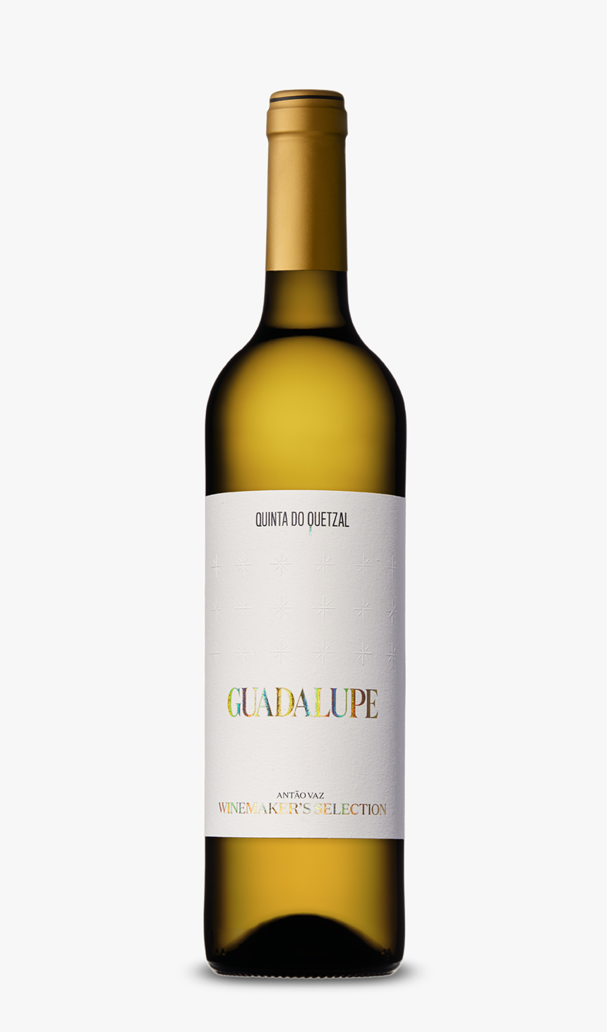 Quetzal Png, Transparent Png