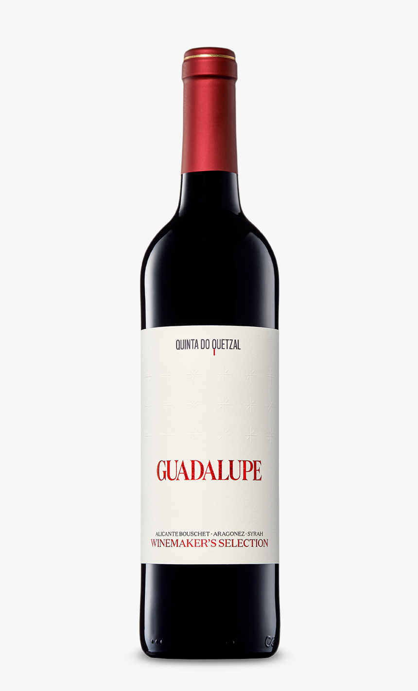 Quetzal Png, Transparent Png