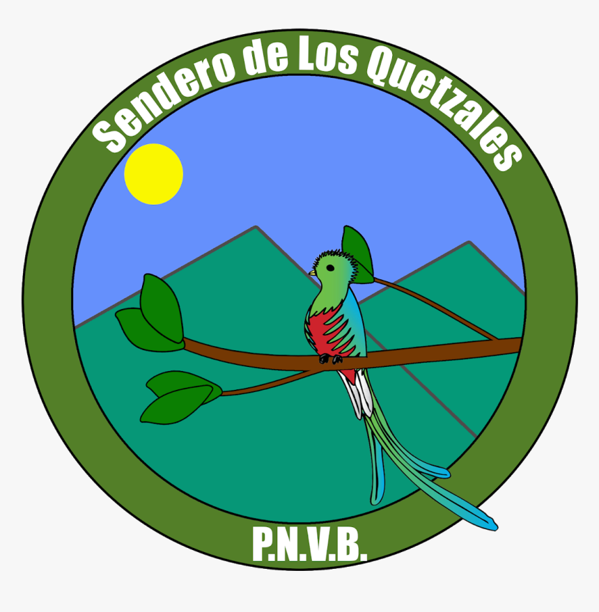Quetzal Png, Transparent Png