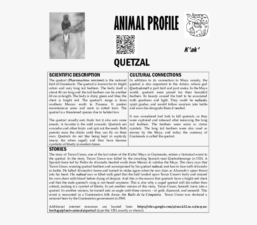 Quetzal Png, Transparent Png