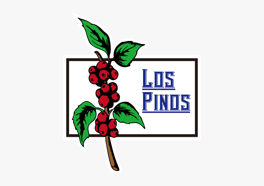 Pinos Png, Transparent Png
