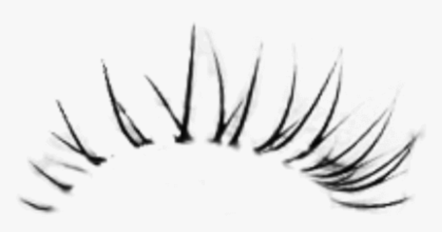 Eyelash Clipart Tumblr Transparent, HD Png Download