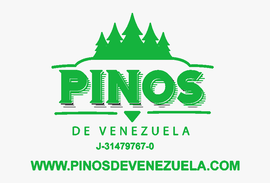 Pinos Png, Transparent Png