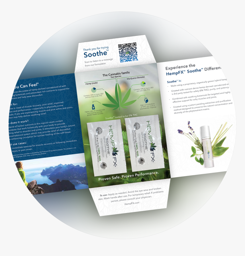 Youngevity Logo Png , Png Download, Transparent Png