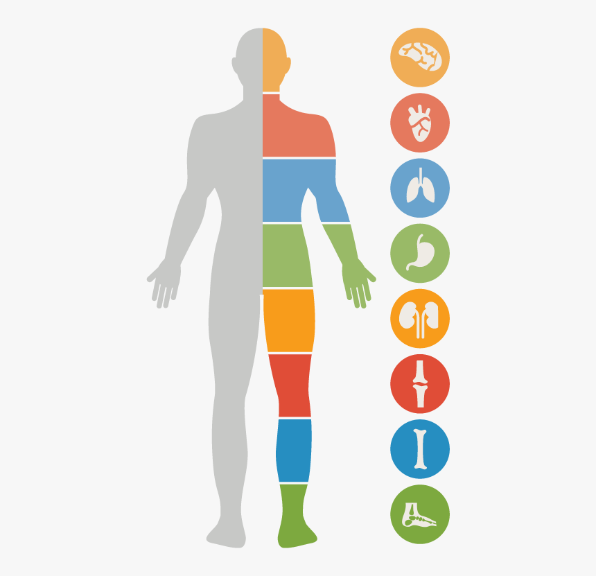 Youngevity Logo Png, Transparent Png