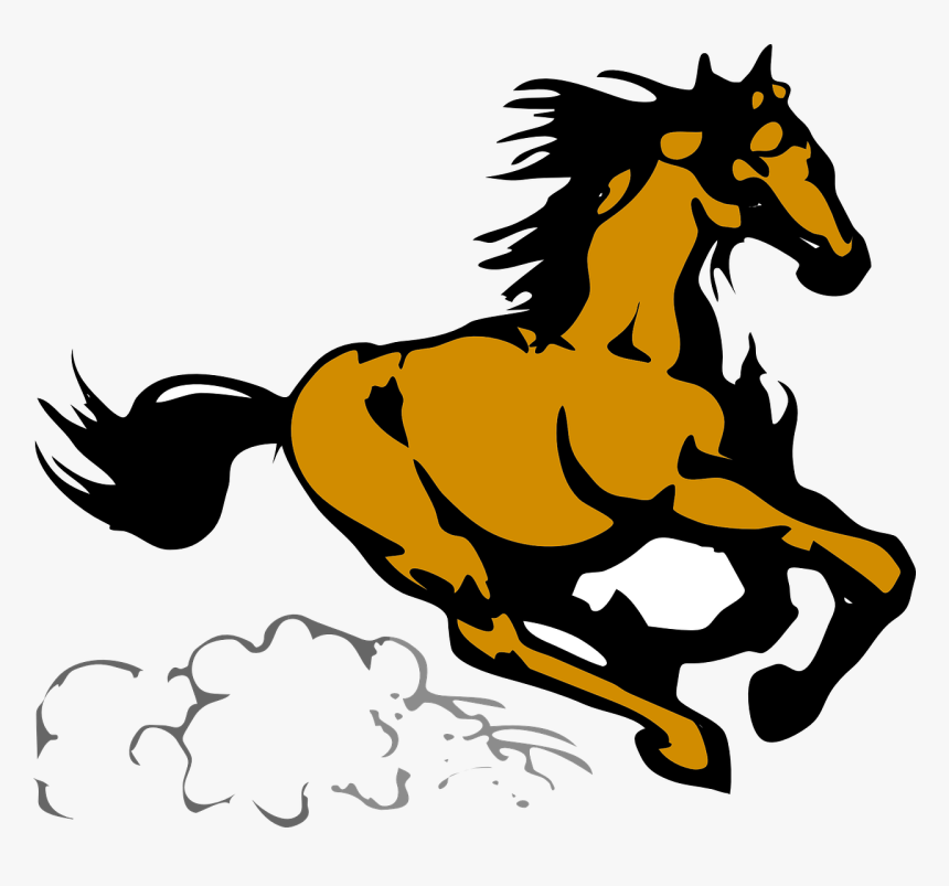 Horse,colt,pony, HD Png Download