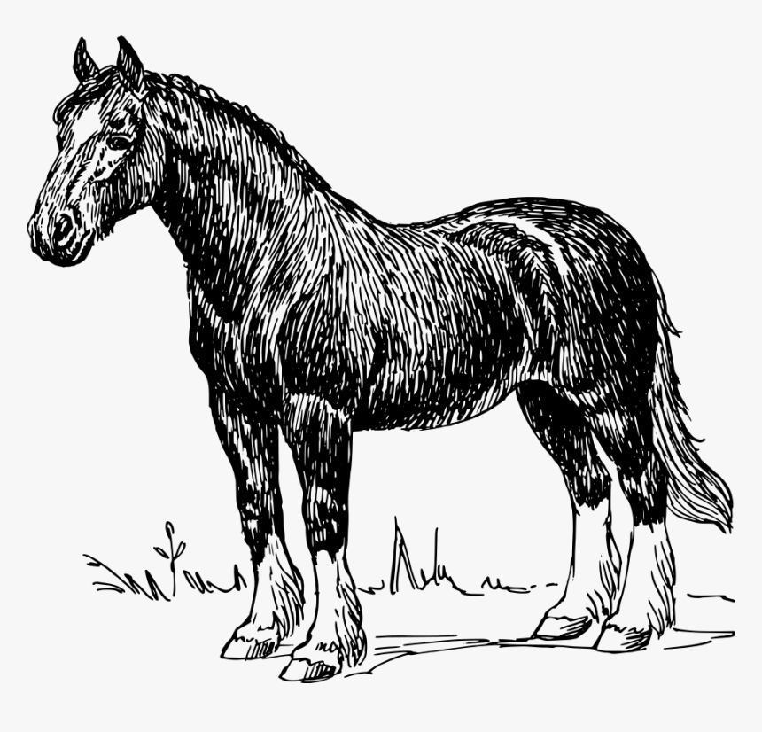 Horse Svg Clip Arts, HD Png Download