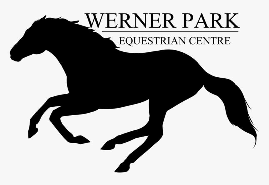 Vector Horses Horse Stable, HD Png Download