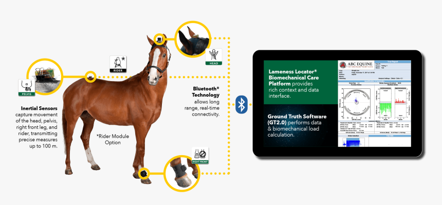 How The Equinosis Q Works, HD Png Download