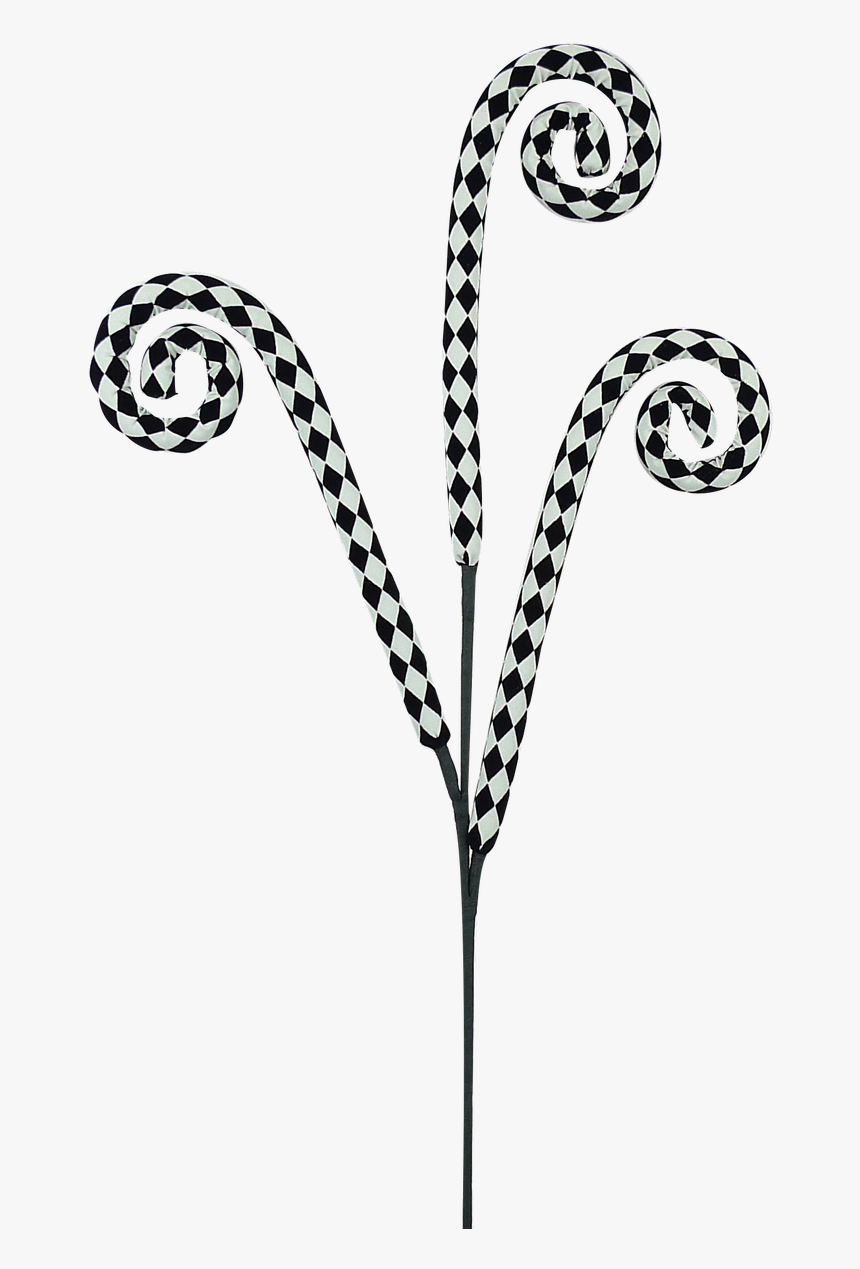 Black/white Harlequin Curly Spray, HD Png Download