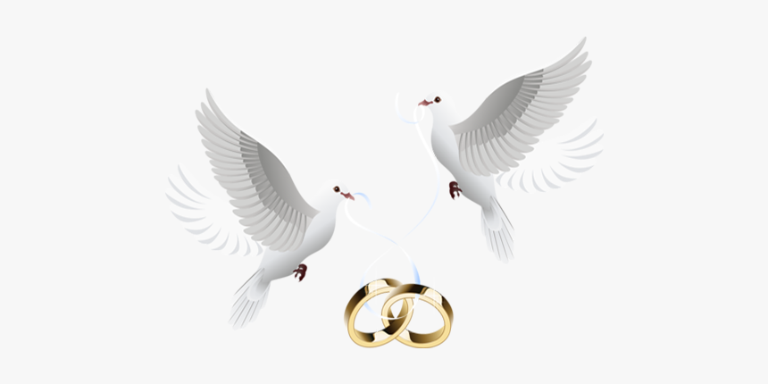 Abecedario Para Bodas Con Palomas Y Argollas, HD Png Download