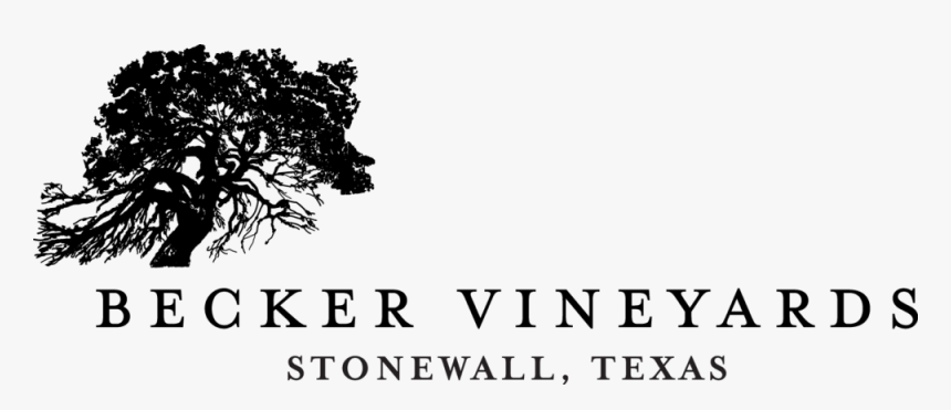 Vineyard Png, Transparent Png