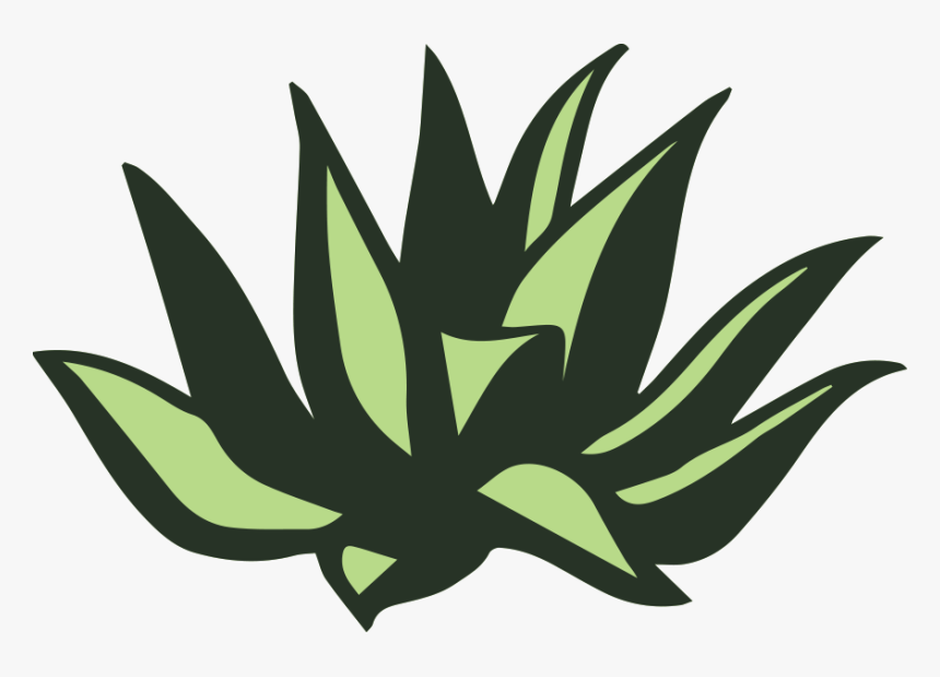 Palomas Blancas Png, Transparent Png