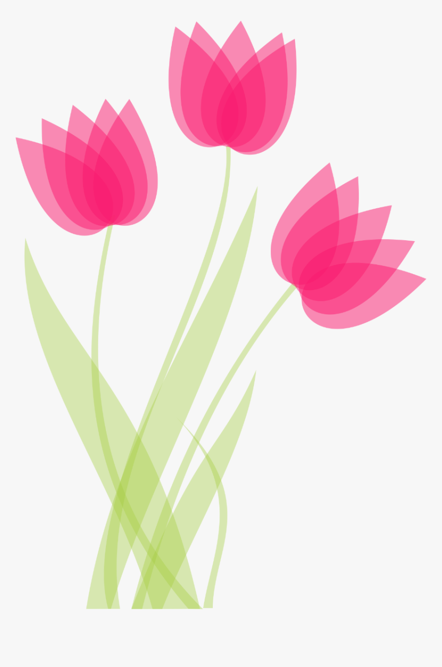 10mayo, HD Png Download
