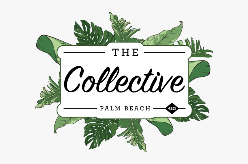 Soda Pop Website Logo-01, HD Png Download