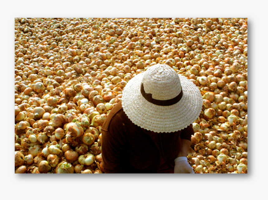 Un Domingo Con Mamá En El Monumento Al Campesino, HD Png Download