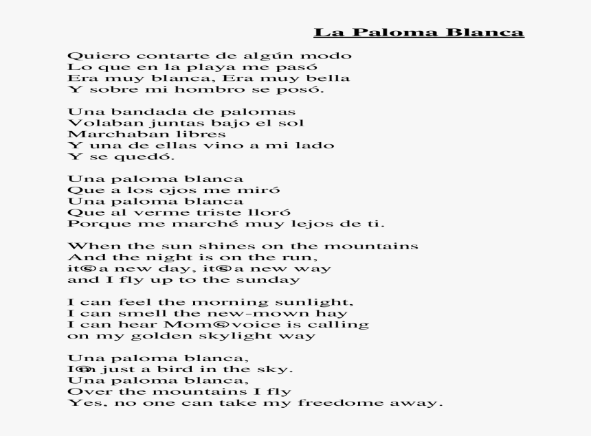 Example Of A Shrinklit , Png Download, Transparent Png