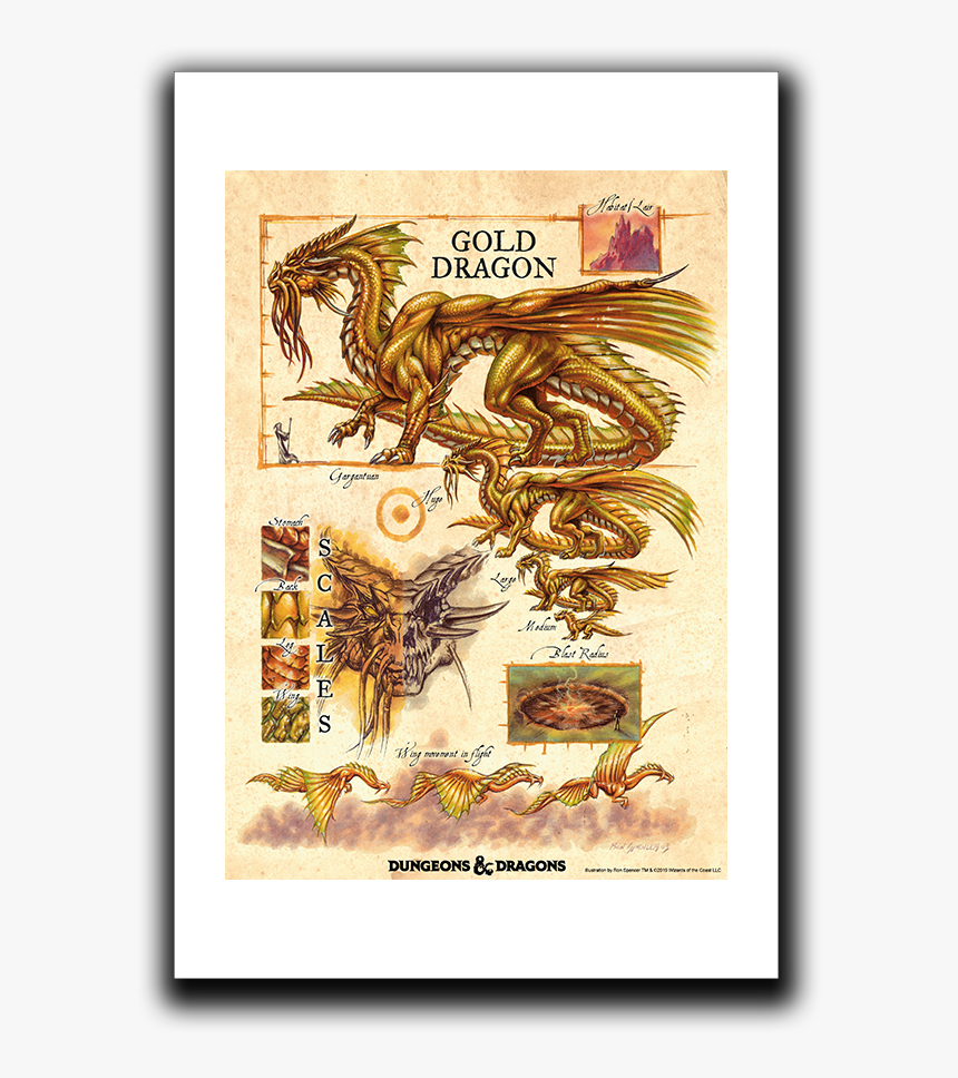 Gold Dragon Png, Transparent Png