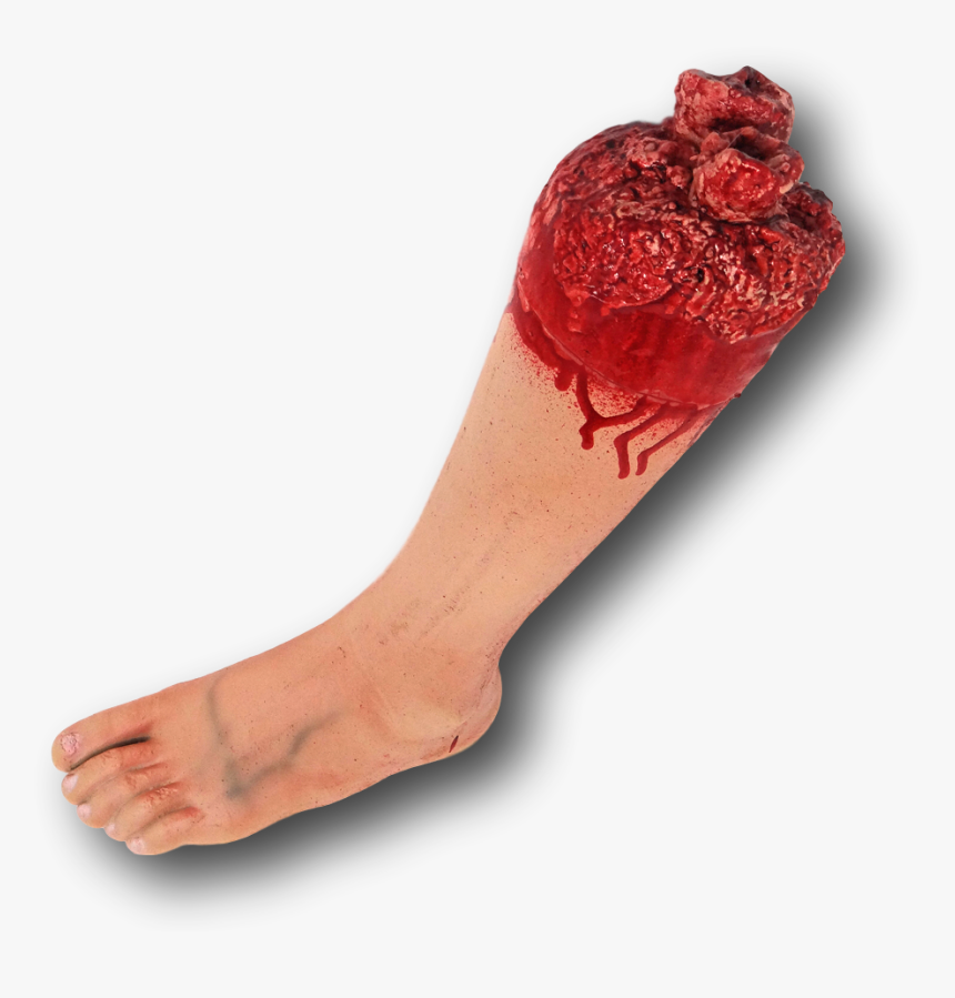 Bloody Severed Fake Latex Arm Arms Leg Legs Foot Feet, HD Png Download