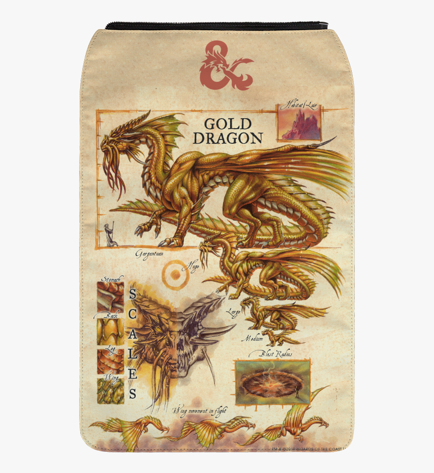 Gold Dragon Png, Transparent Png