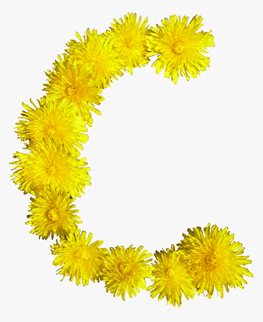 File - Blumen-c, HD Png Download