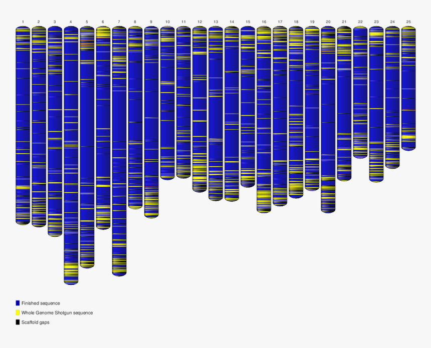 Ideogram Grcz10, HD Png Download