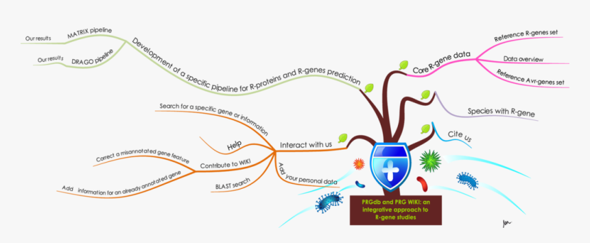 Prgdb 1, HD Png Download