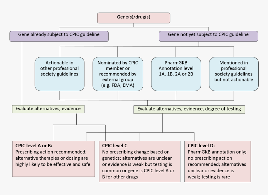 Transparent No Drugs Png, Png Download