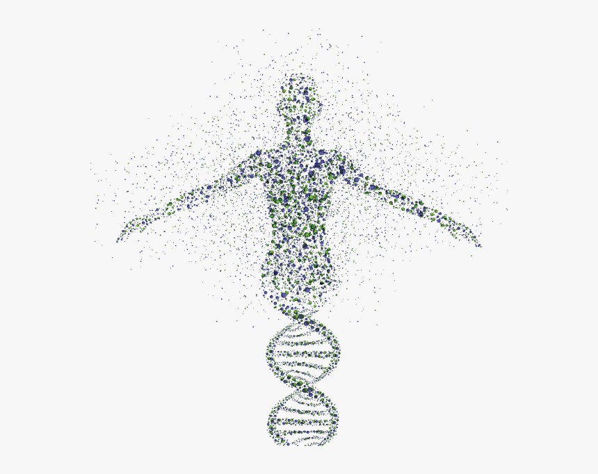 Genes Png, Transparent Png