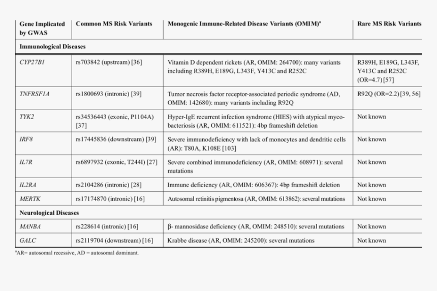 Genes Png, Transparent Png