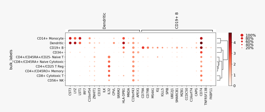Images/visualizing Marker Genes 51 1, HD Png Download