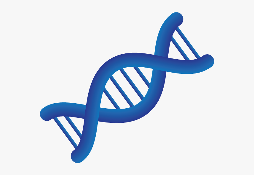 Medical Personalized Medicine Chromosome, HD Png Download