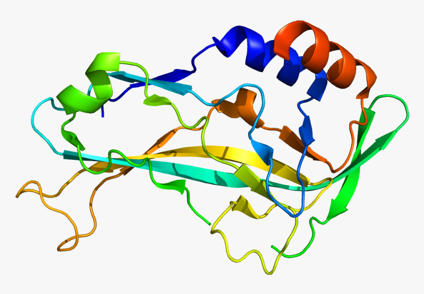 Protein Tbx5 Pdb 2x6u, HD Png Download