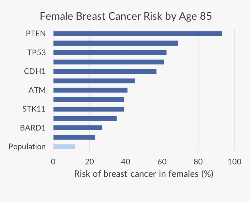 Female Breast Cancer Risk By Age, HD Png Download