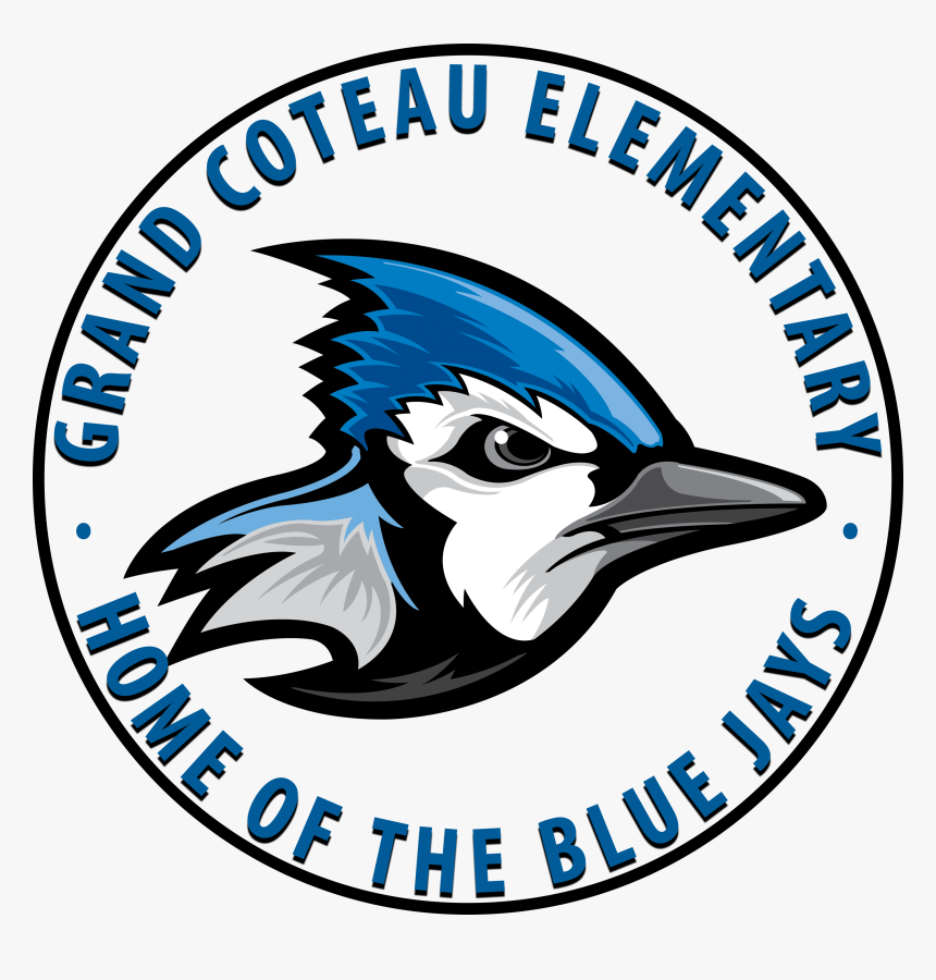 Equal Opportunity Disclaimer, HD Png Download