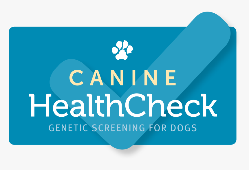 Genes Png, Transparent Png