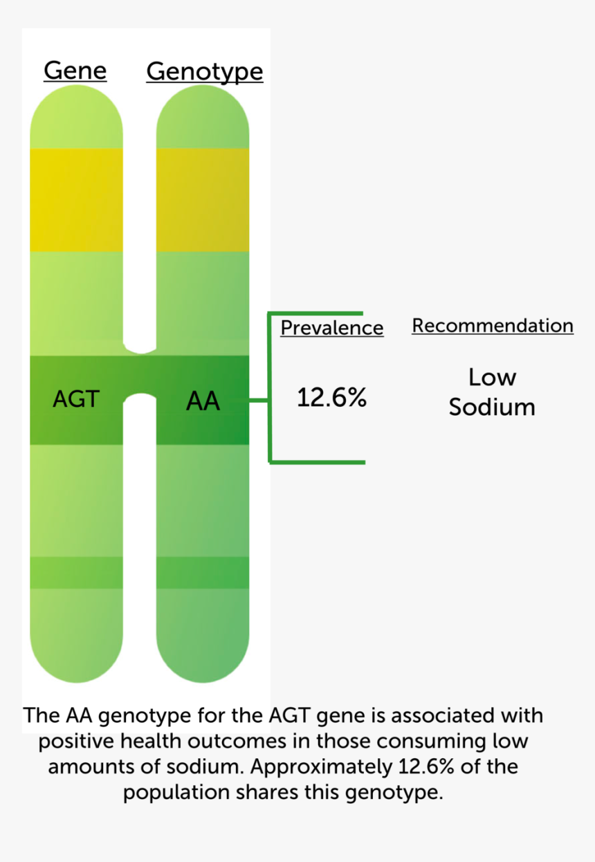 Reccoexample2019 - 5 - 16-04, HD Png Download