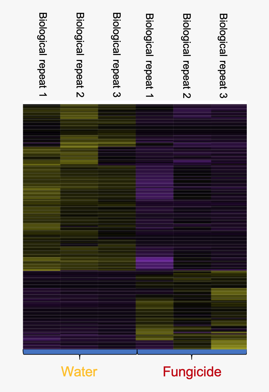 Heat Map With Genes Turned On Or Off (purple) For A, HD Png Download