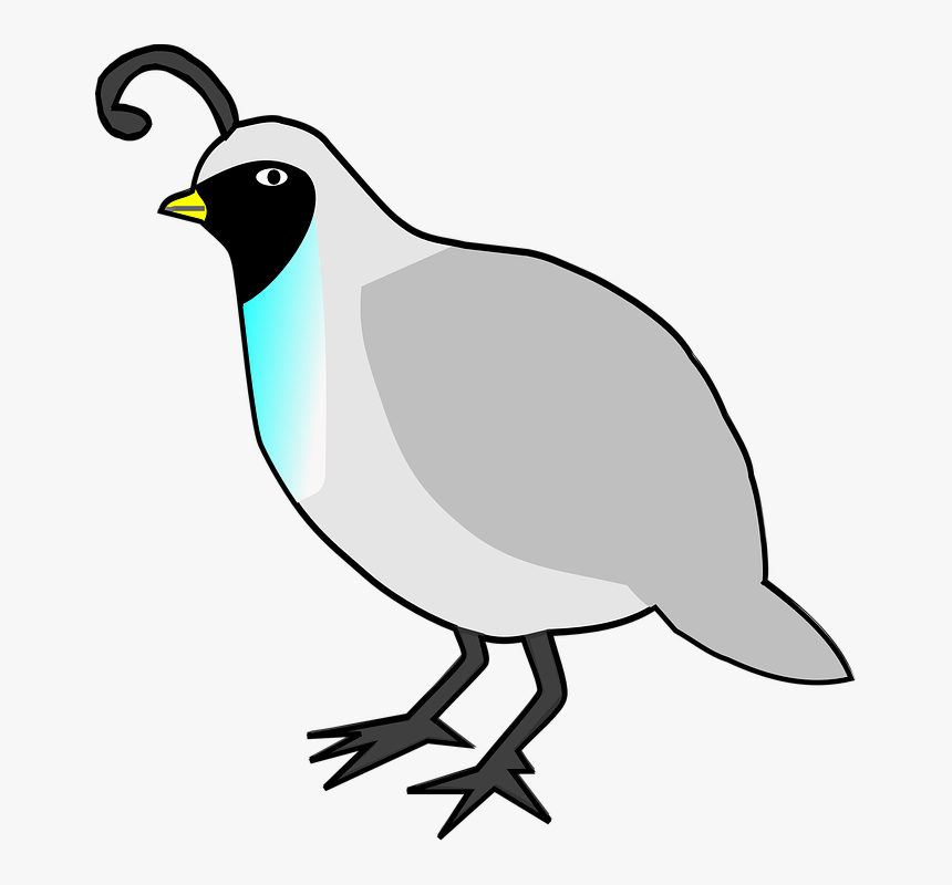 Quail, Birds, Animals, Poultry, Fowl, Meat, Food, HD Png Download
