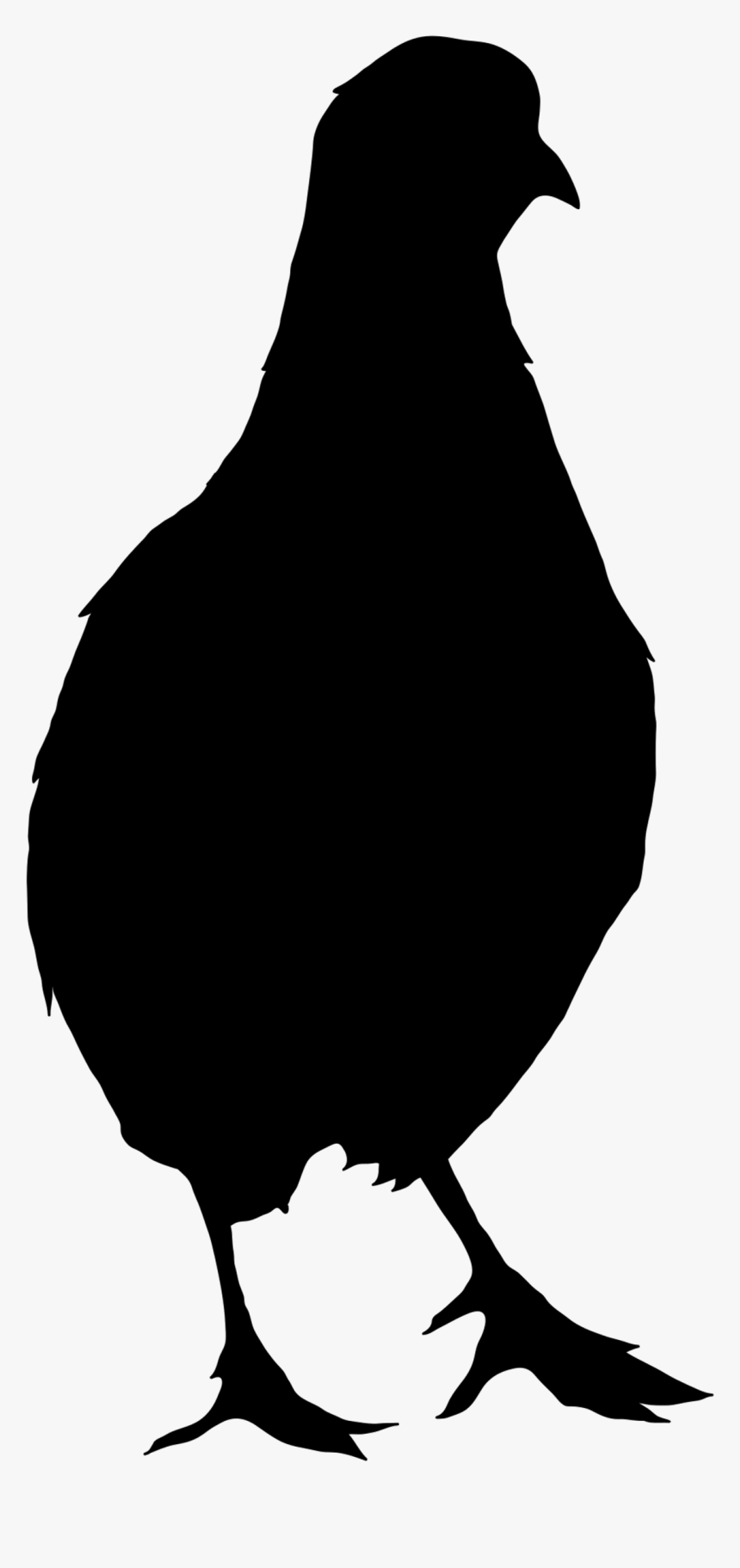 Northern Bobwhite Vector Graphics Chicken Silhouette, HD Png Download