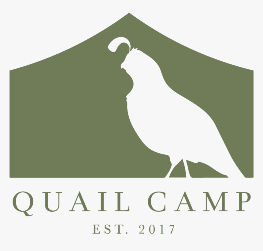 Quail Camp Logo, HD Png Download