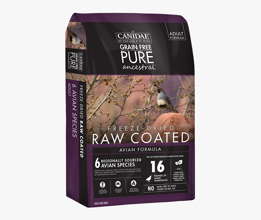 Quail Png, Transparent Png